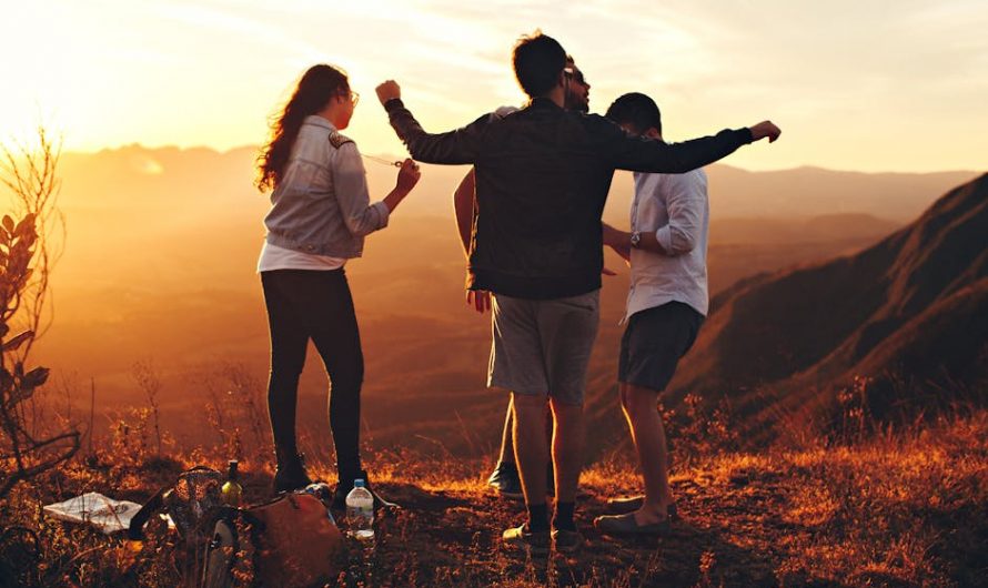 Купить диплом ветеринара в Кирсе