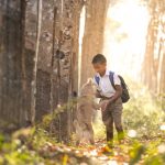 Купить диплом с внесением в реестр быстро и надежно image_1111-217.jpg