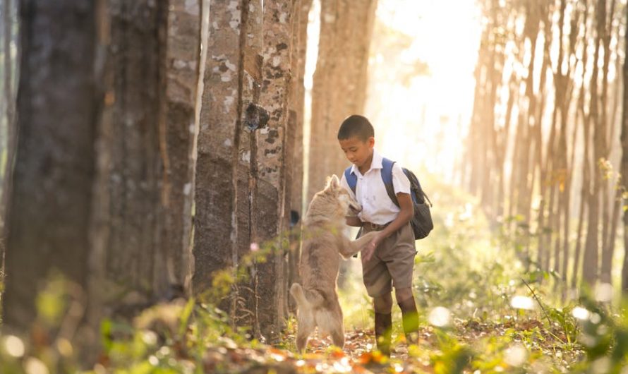 Купить диплом с внесением в реестр быстро и надежно